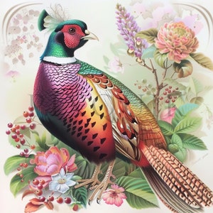 Pheasant Bird | 10 High Quality JPGs | Digital Download | Card Making | Bird Clipart | Pheasant Bird Clipart | Digital Paper Craft