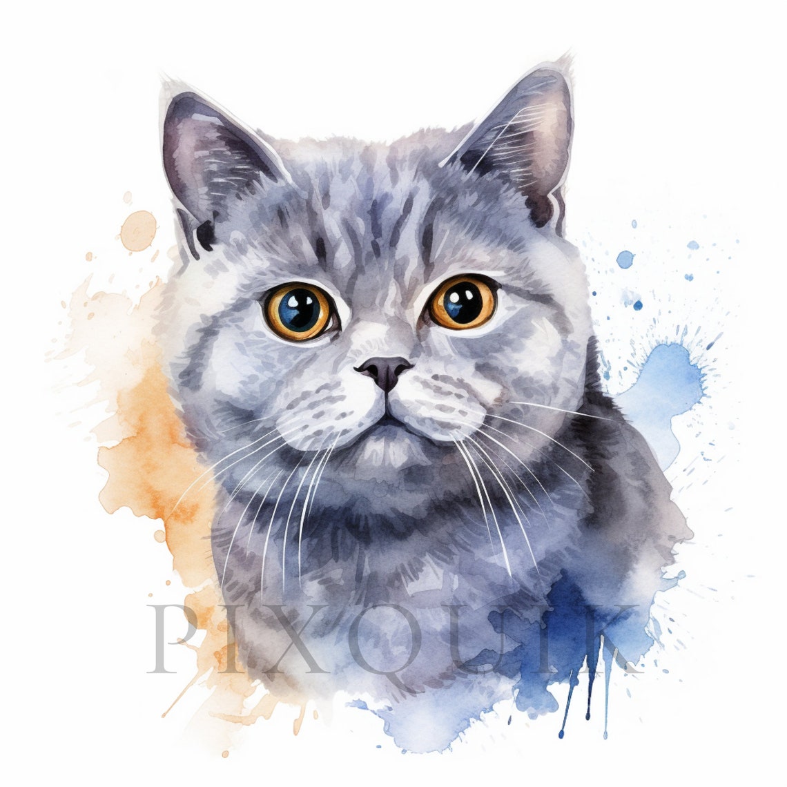 Watercolor British Shorthair Clipart | Cat Illustration (digital ...