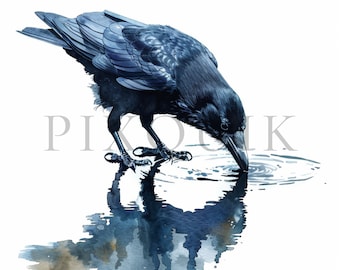 Clipart de acuarela de cuervo / Arte gótico de aves, creación de tarjetas (descarga digital)