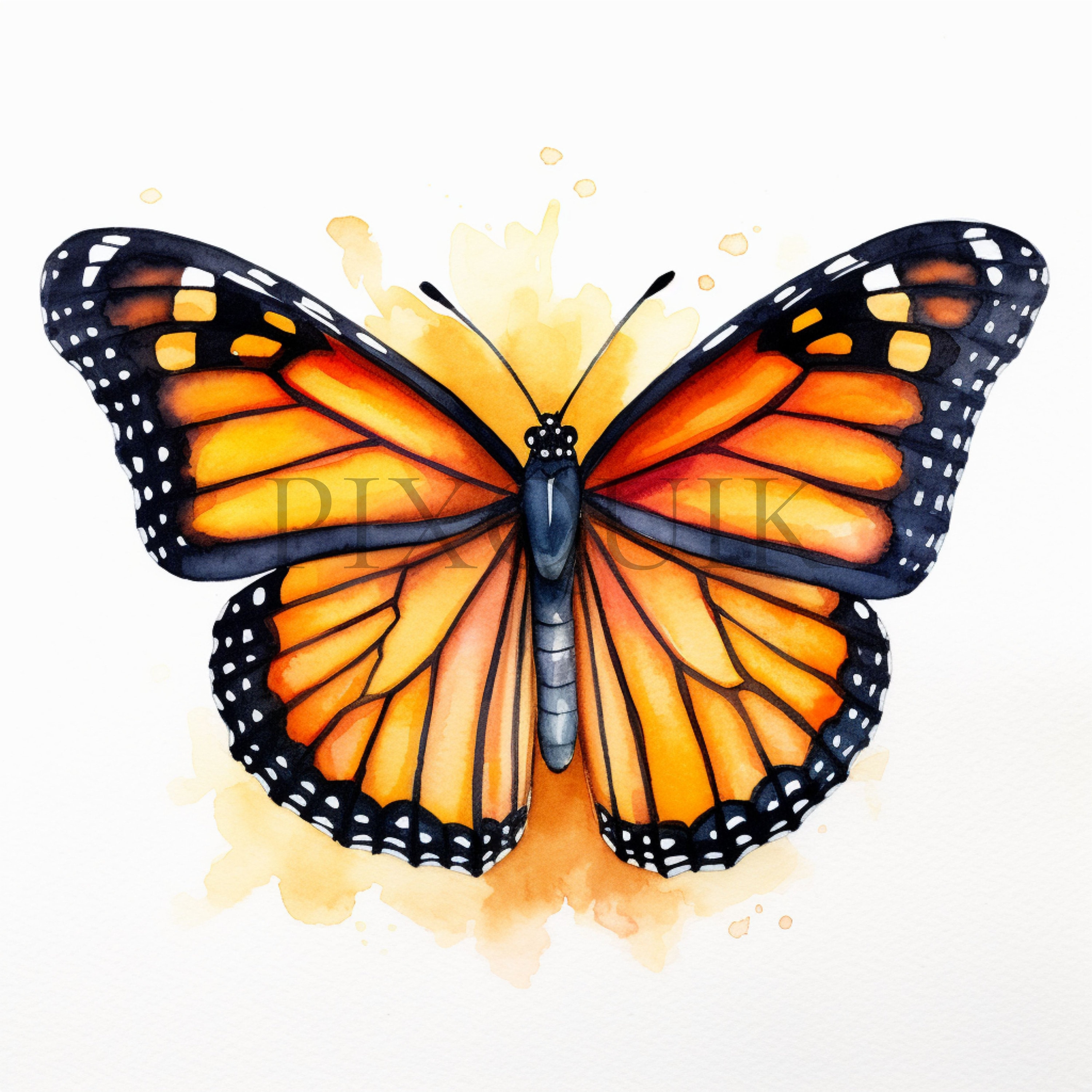 Watercolor Monarch Clipart 10 High Quality Jpgs Monarch Butterfly ...