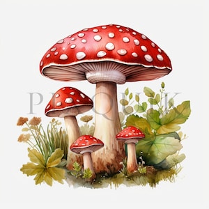 Clipart champignon vénéneux | 10 fichiers JPG de haute qualité | Téléchargement numérique instantané | Clipart nature | Aquarelle champignon | Clipart champignon | Clipart automne