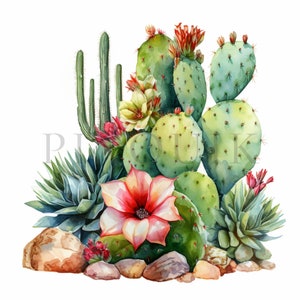 cactus clipart-10 hoge kwaliteit jpg's | aquarel cactus clipart | Digitale download | Commercieel gebruik | woestijncactus clipart | Clipart