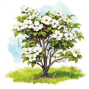 Aquarel kornoelje boom clipart | 10 JPG's van hoge kwaliteit | natuurclipart | Boomclipart |  Digitale prints, Direct downloaden, Commercieel gebruik