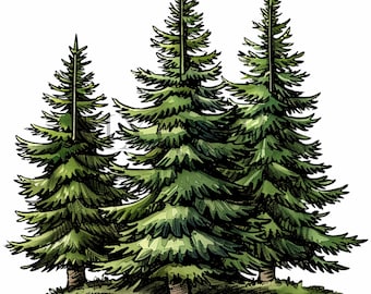 Watercolor Pine Tree Clipart | Woodland Illustrations (Digital Prints)