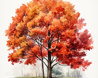Autumn Tree Clipart | Fall Foliage JPGs (Digital Download)
