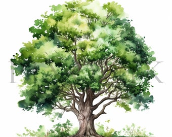 Watercolor Tree clipart | 13 High Quality JPGs | Digital Download | Watercolor Trees | Tree Illustration | Tree clip art | Nature Clipart