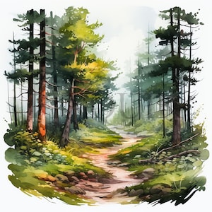 Forest Trail Clipart | 10 High Quality JPG&#39;s | Digital Download | Nature Path Art | Woodland Scenery | Outdoor Landscape | Rustic Decor