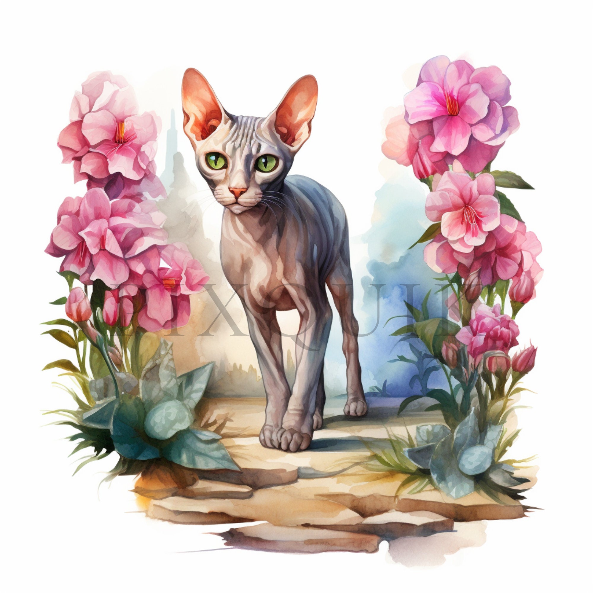 Sphynx Cat Floral Illustration | High-quality Jpgs (digital Download ...