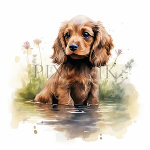 Cocker Spaniel Puppy Clipart | 10 High-Quality JPGs | Watercolor Illustration | Dog Designs, Paper Crafts | Instant Digital Download