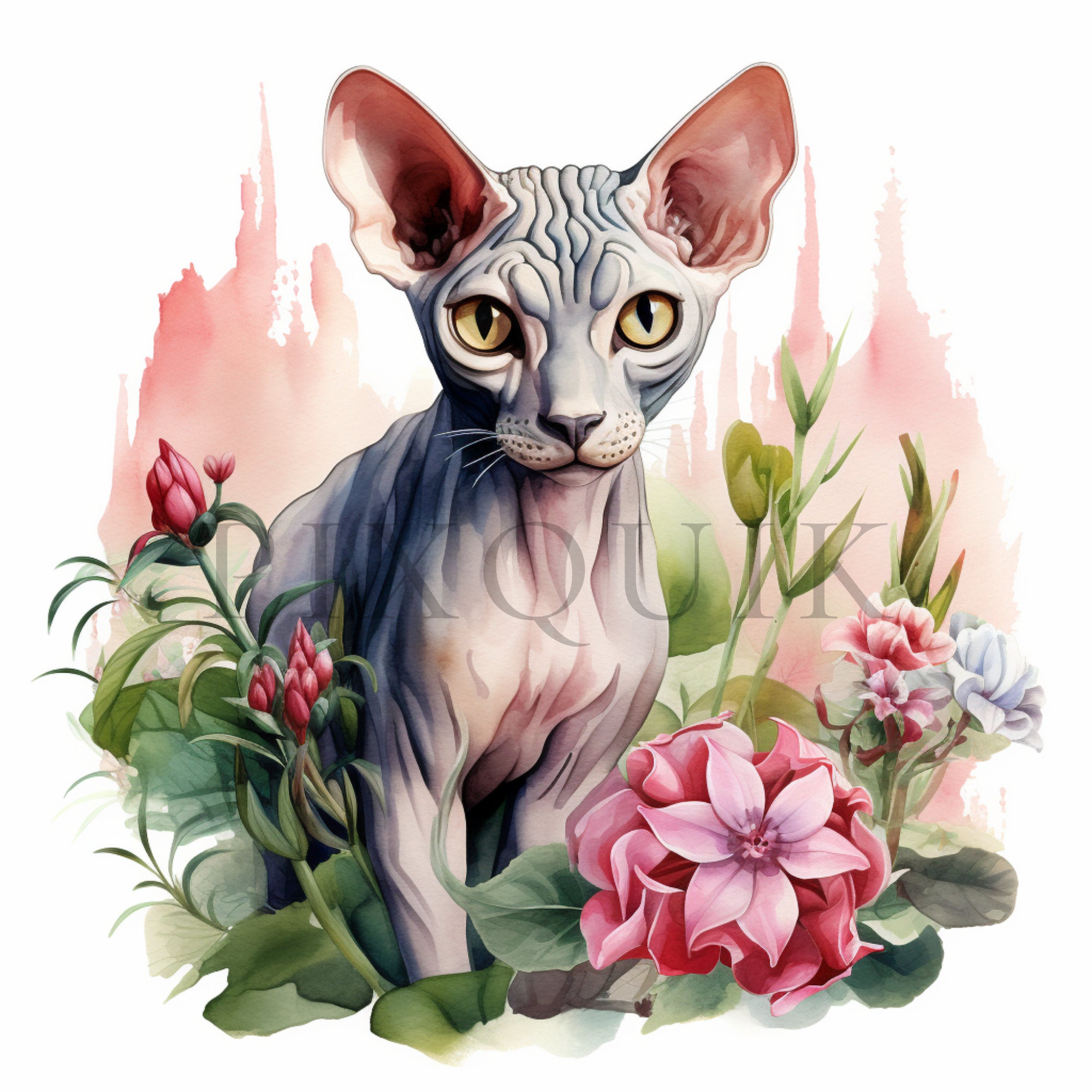Sphynx Cat Floral Illustration | High-quality Jpgs (digital Download ...