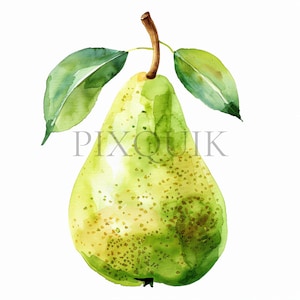 Clipart di pere ad acquerello / 10 JPG di alta qualità / Pere / Clipart di frutta / Album di ritagli / Clipart di acquerelli / Download immediato
