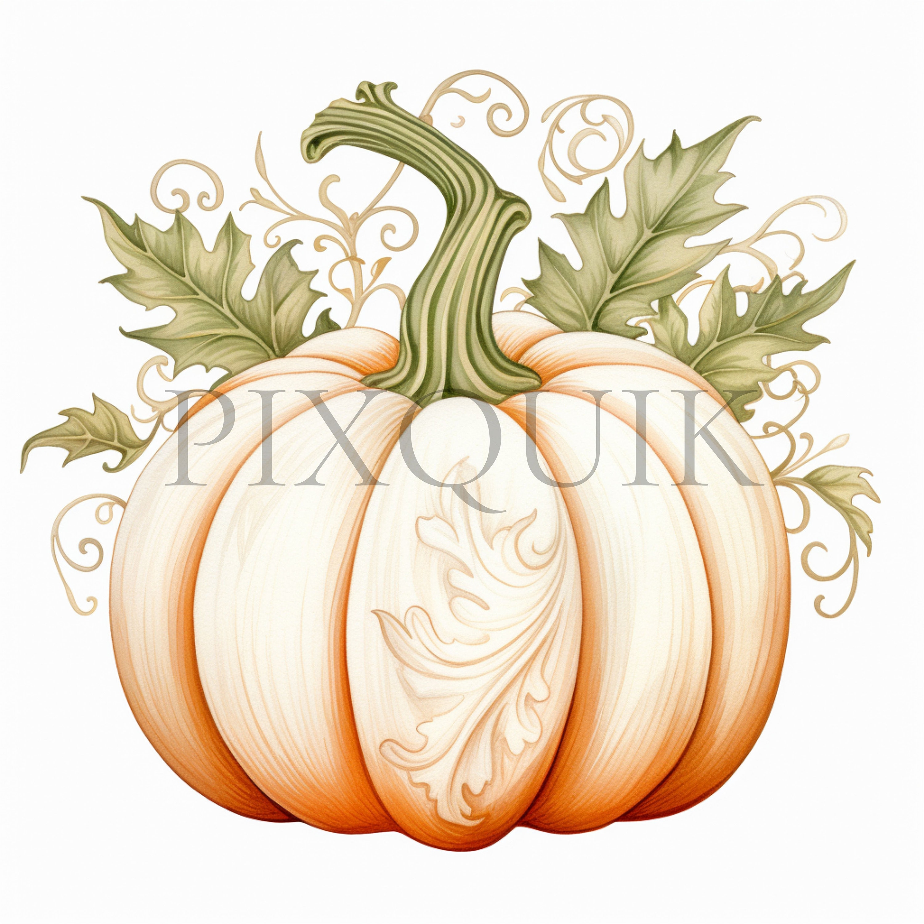 White Pumpkin Watercolor Clipart | Fall Nursery Decor (digital Download ...
