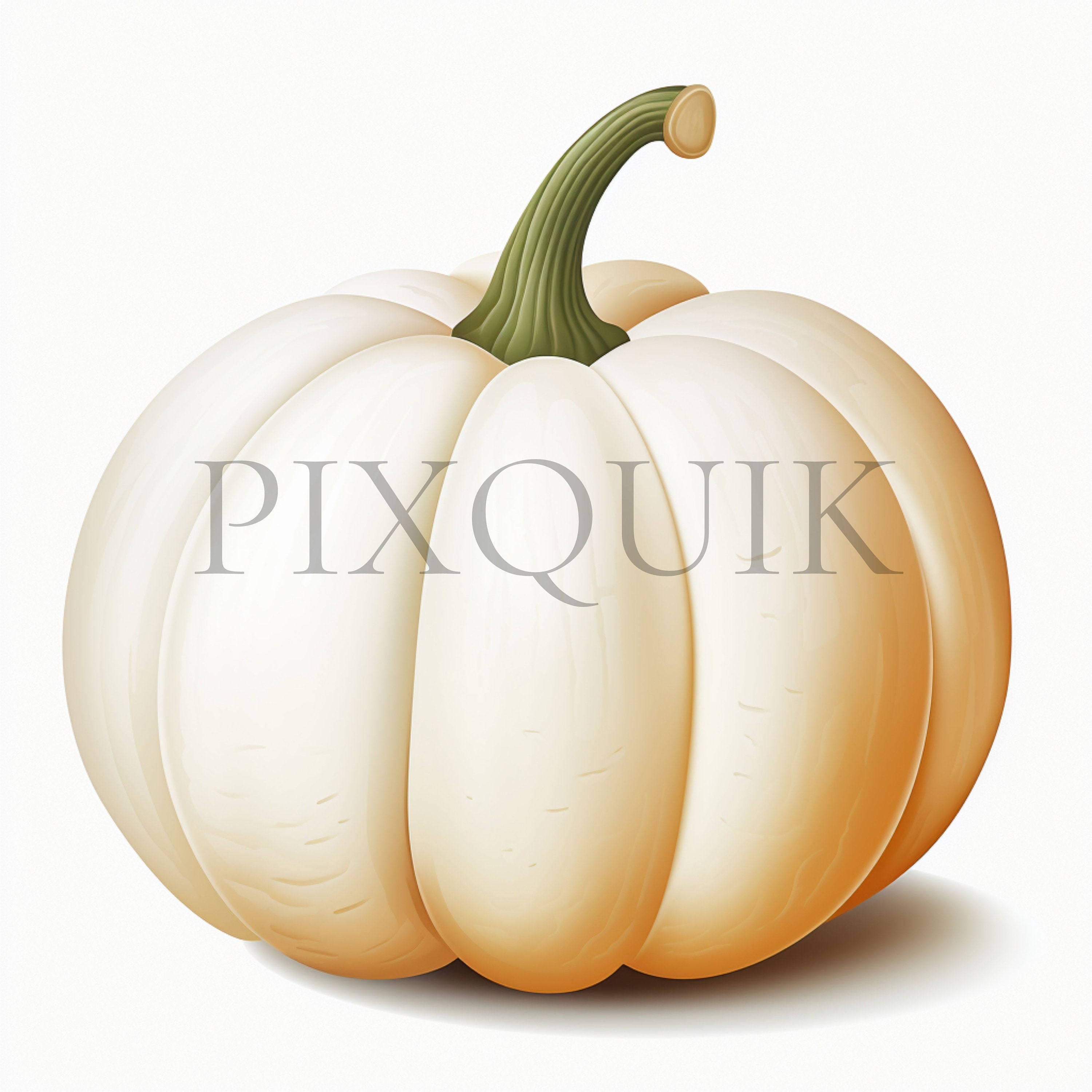 White Pumpkin Watercolor Clipart | Fall Nursery Decor (digital Download ...