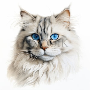 Clipart chat sibérien aquarelle |  10 fichiers JPG de haute qualité | Aquarelle | Clipart chat sibérien | Fabrication de cartes | Téléchargement numérique à usage commercial