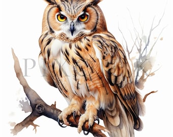 Owl Clipart: Woodland Animal JPG Images (Digital Download)