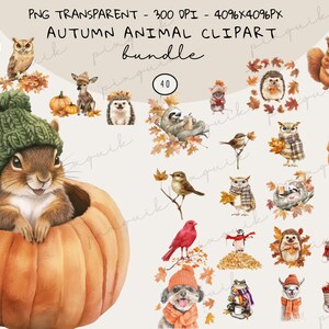 May include: A digital clipart bundle with watercolour illustrations of autumn animals. Includes a squirrel in a pumpkin, owls, squirrels, hedgehogs, and other creatures, all adorned with fall-themed accessories. The text reads "AUTUMN ANIMAL CLIPART bundle".
