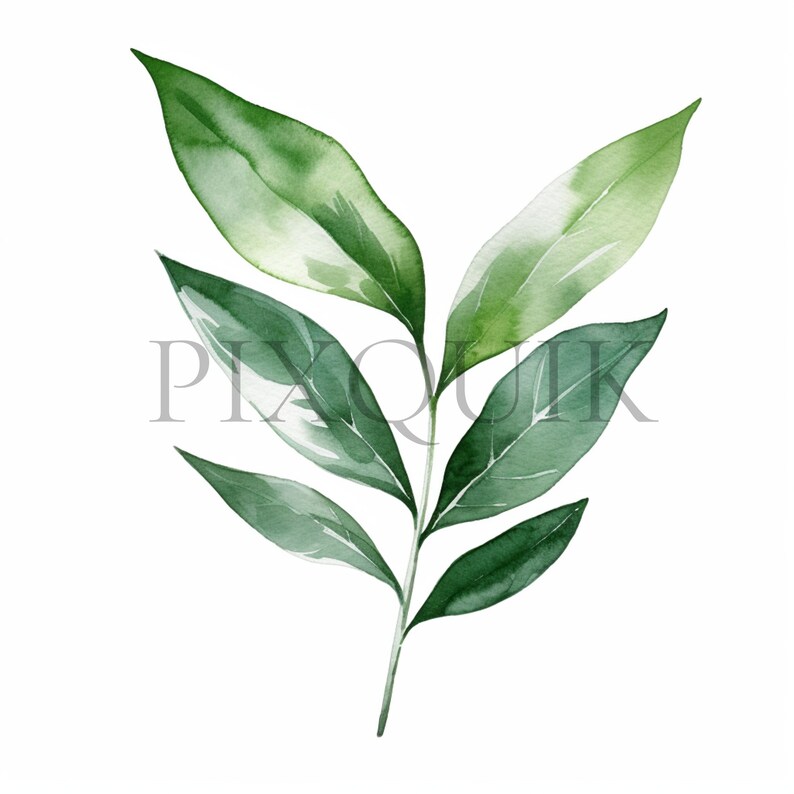 a watercolor painting of green leaves on a white background
