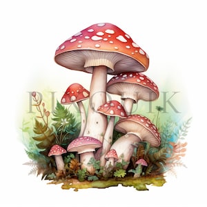 Mushroom cluster Clipart | 10 High Quality JPGs | Digital download | Card Making | Watercolor Mushroom | Nature Clip Art | Mushroom Clipart