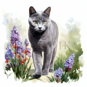 Clipart chat bleu russe | 10 fichiers JPG de haute qualité | Téléchargement numérique | Lot de cliparts chat | Bleu russe | Art imprimable | Chat aquarelle