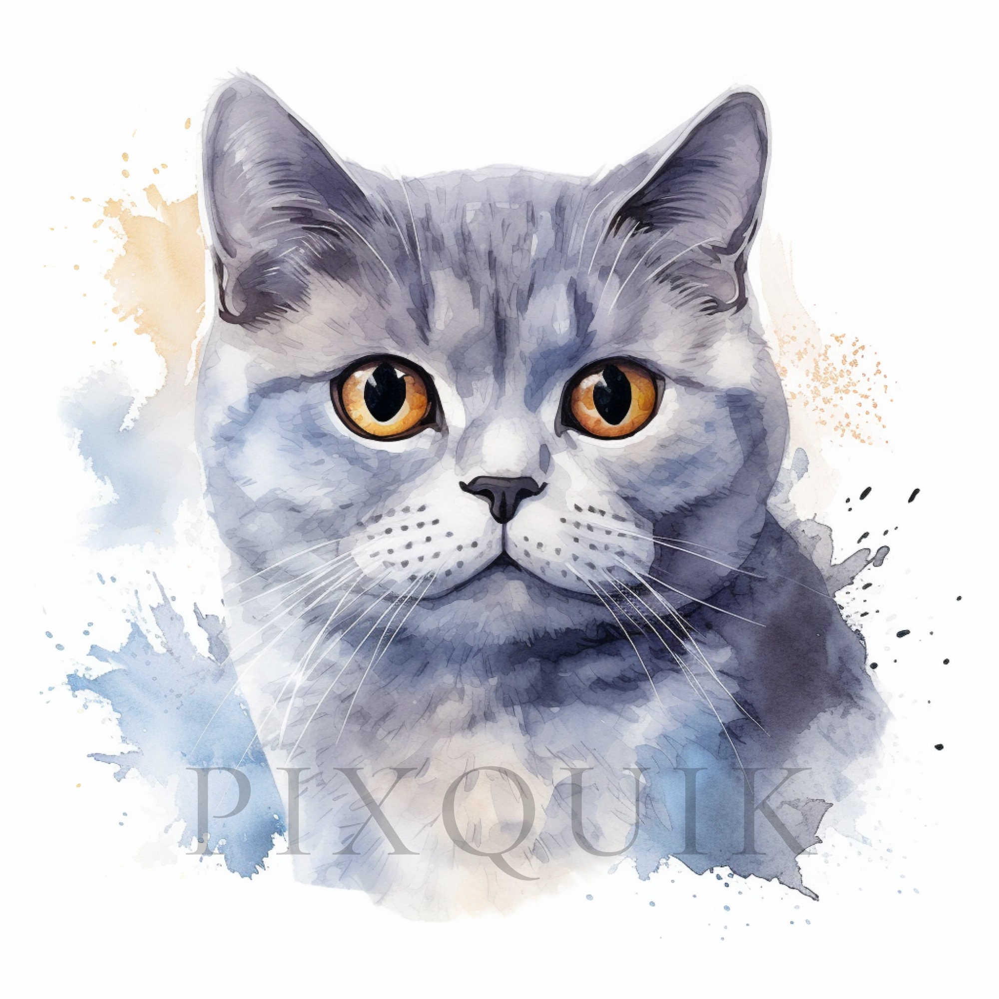 Watercolor British Shorthair Clipart | Cat Illustration (digital ...