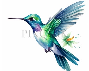 Watercolor Hummingbird Clipart | Floral Nursery Art (Digital Download)