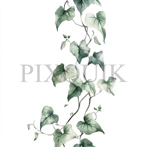 Green Ivy Vine Watercolor Clipart | 10 JPG's Files | Card Making | Digital Paper Crafts | Watercolor Art | Tropical Vine Design, Ivy Border
