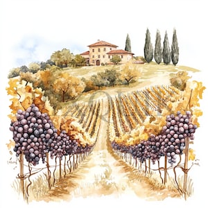Illustrazione di uva ad acquerello / Clipart di fattoria autunnale / 10 JPG e PNG di alta qualità / Arte rustica autunnale della fattoria / Creazione di biglietti