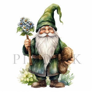 Clipart gnomo irlandese / 10 JPG di alta qualità / Download digitale / Gnomo acquerello / Clipart gnomo / Creazione di biglietti / Tecnica mista / Immagini gnomo
