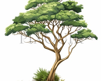 Botanical Cedar Tree Clipart | Forest Art JPGs (Digital Download)