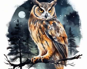 Owl Clipart Set | Woodland Animal JPGs (Digital Download)