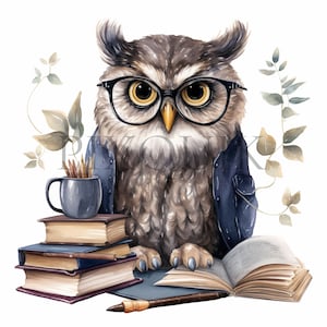 Clipart hibou aquarelle pour les enseignants | 10 fichiers JPG de haute qualité | Clipart hibou | Carnet de bord, scrapbooking, téléchargement numérique