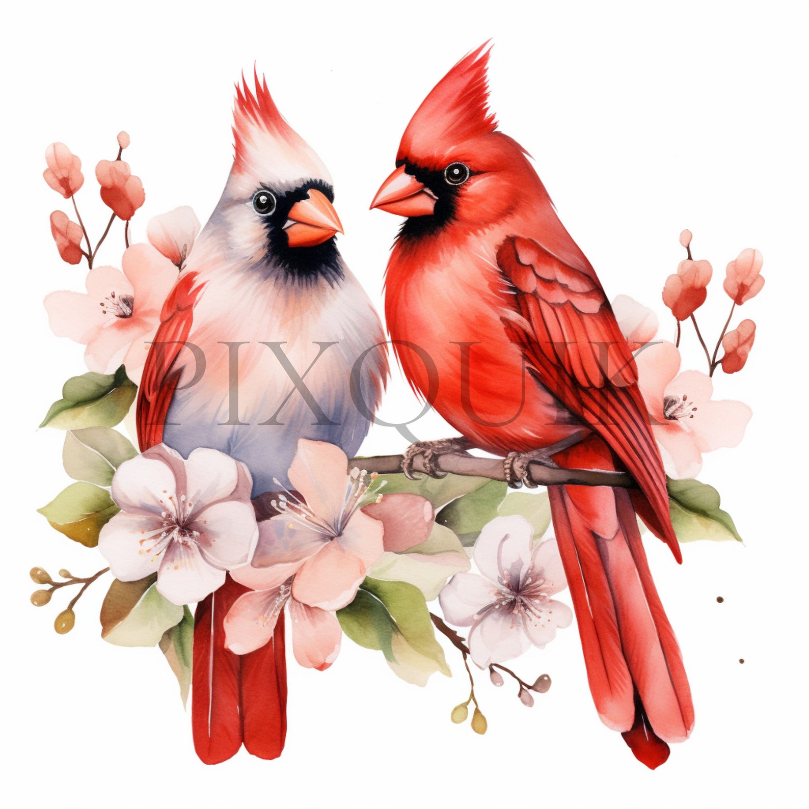 Cardinal and Flowers Clipart | Watercolor Bird Art (digital Download ...
