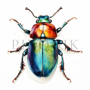 Clipart di insetti ad acquerello / 10 JPG di qualità / Download digitale / Insetto / Tecnica mista / Immagini di album / Immagini di collage / Artigianato di carta digitale