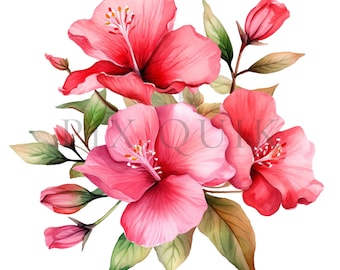 Watercolor Flower Clipart - High-Quality Floral JPGs (Digital Download)