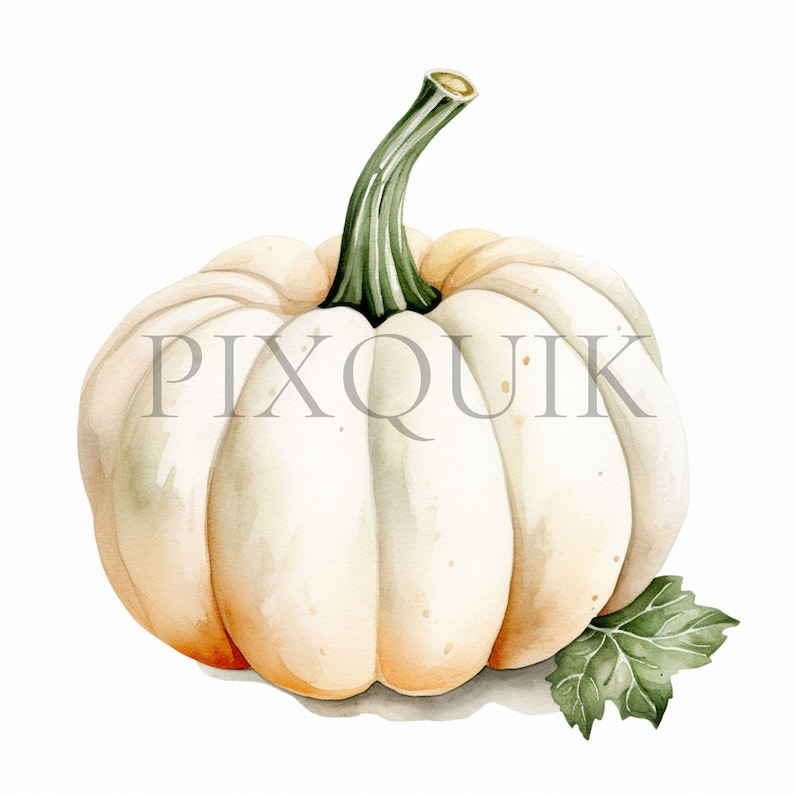 White Pumpkin Watercolor Clipart | Fall Nursery Decor (digital Download ...