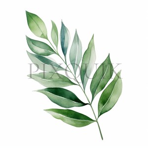 a watercolor painting of green leaves on a white background