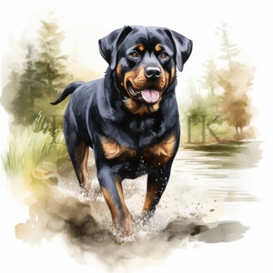 Watercolor Rottweiler Clipart | 10 High Quality JPGs | Digital Download | Rottweiler Illustrations | Nursery Art | Cute Animal Clipart