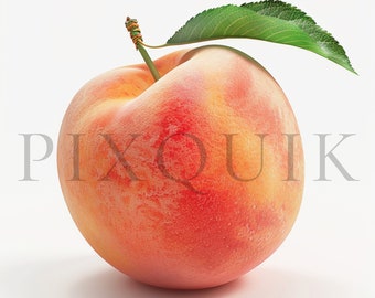 Watercolor Peach Clipart | 10 JPGs, Fruit Vector (Digital Download)