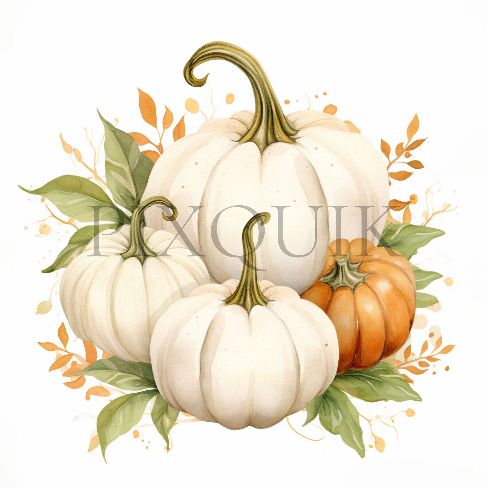 White Pumpkin Watercolor Clipart | Fall Nursery Decor (digital Download ...
