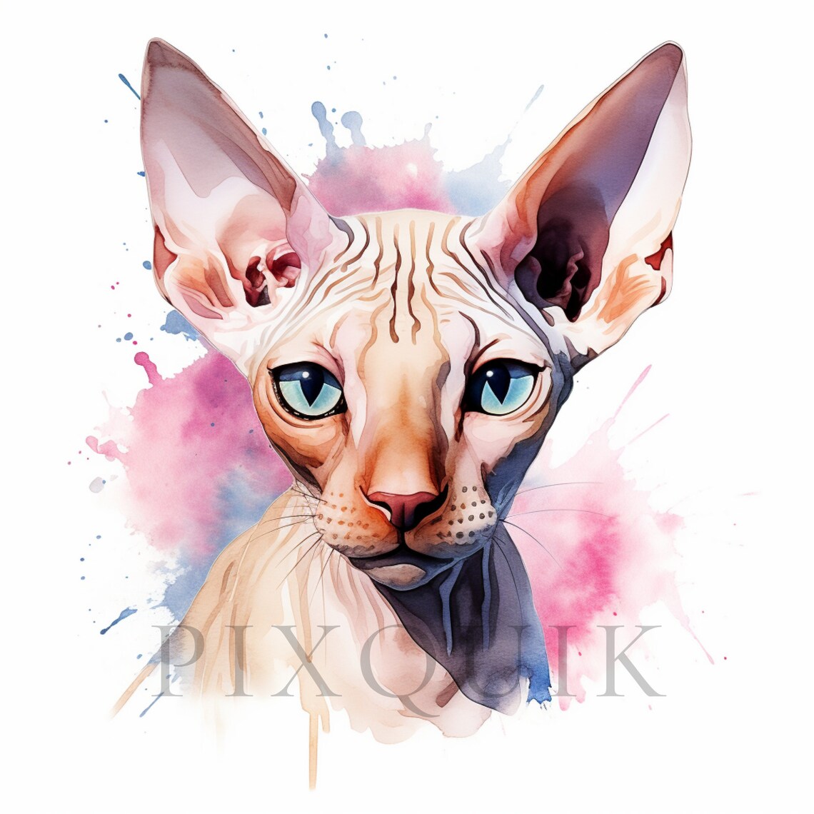 Watercolor Sphynx Cat Clipart 10 High Quality Jpgs Digital Download ...