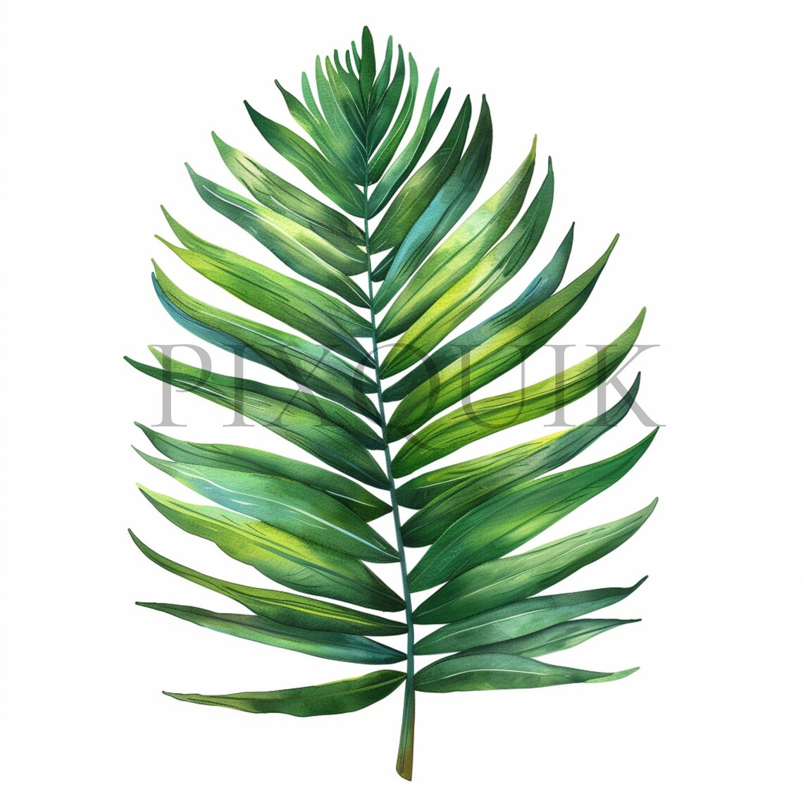 Palm Leaf Clip Art 10 High Quality JPG Jungle Leavees Palm Branch Junk