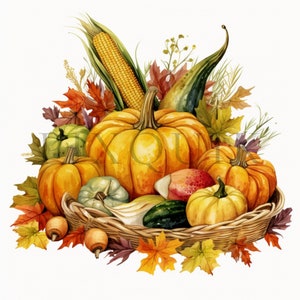 a basket filled with lots of different types of pumpkins