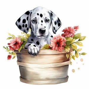 Clipart Dalmatien | 10 fichiers JPG de haute qualité | Art pour chambre d'enfant, téléchargement numérique | Chiot dalmatien | fabrication de cartes, cliparts animaux mignons, créations en papier