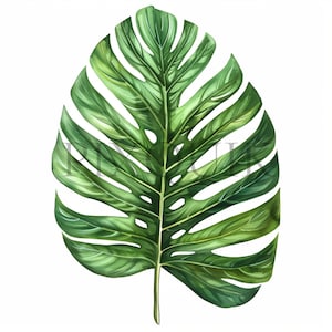 Clipart feuille de palmier | 10 fichiers JPG de haute qualité | Feuilles de la jungle | Branche de palmier | | Journaux indésirables, Impressions numériques