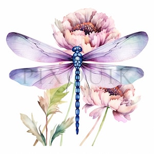 Floral Dragonfly clipart - 10 High Quality JPGs | Digital Download | Watercolor Clipart | Dragonfly Watercolor | Insect Clipart | Dragonfly