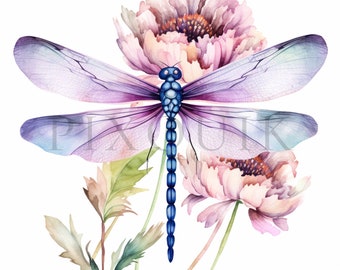 Libélula floral en acuarela (imágenes prediseñadas) – JPG de alta calidad (descarga digital)