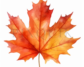 Aquarell Herbst Blätter Clipart - 10 JPGs, Herbst Design (Digitaler Download)