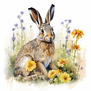 Clipart lapin | 10 fichiers JPG de haute qualité | Téléchargement numérique | Clipart lapin | Clipart chambre d'enfant | Animal magique | Créations en papier | Lapin lièvre