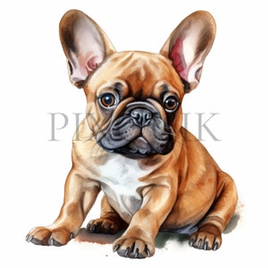 Watercolor Bulldog Clipart Set | 10 High Quality JPGs | Digital Download | scrapbook images | Bulldog Illustrations | Bulldog portrait |