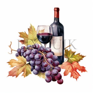 Wijnclipart |  10 hoogwaardige JPG's | wijndruiven | Herfst |  direct downloaden | Clipartbundel | Illustratie wijnfles